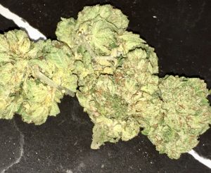 White Mango l Hybrid (5 grams)