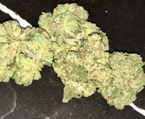 PEANUTBUTTER OATMEAL-EXOTIC SHELF /32%THC/0.325 CDB/TOTAL CANNABINOIDS %33.269 - Image 4
