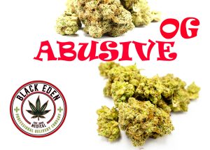 ABUSIVE-OG (EXOTIC-SHELF)