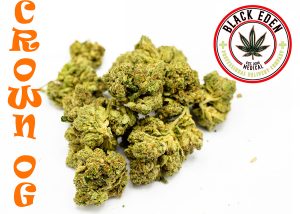 CROWN OG (EXOTIC-SHELF)