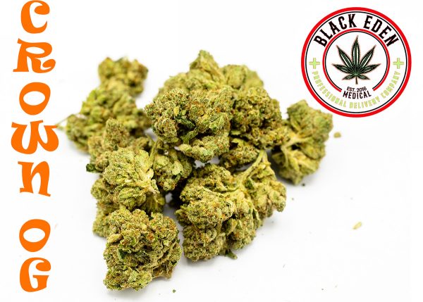 ABUSIVE-OG (EXOTIC-SHELF) - Image 3