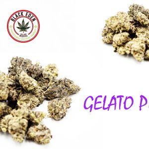 GELATO PIE (EXOTIC-SHELF)