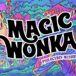 WONKA 3.5g Chocolate Bar Psilocybin