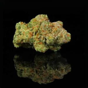 Applescotti l HYBRID (5 grams)