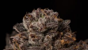 Permanent Marker l Indica (5 grams)