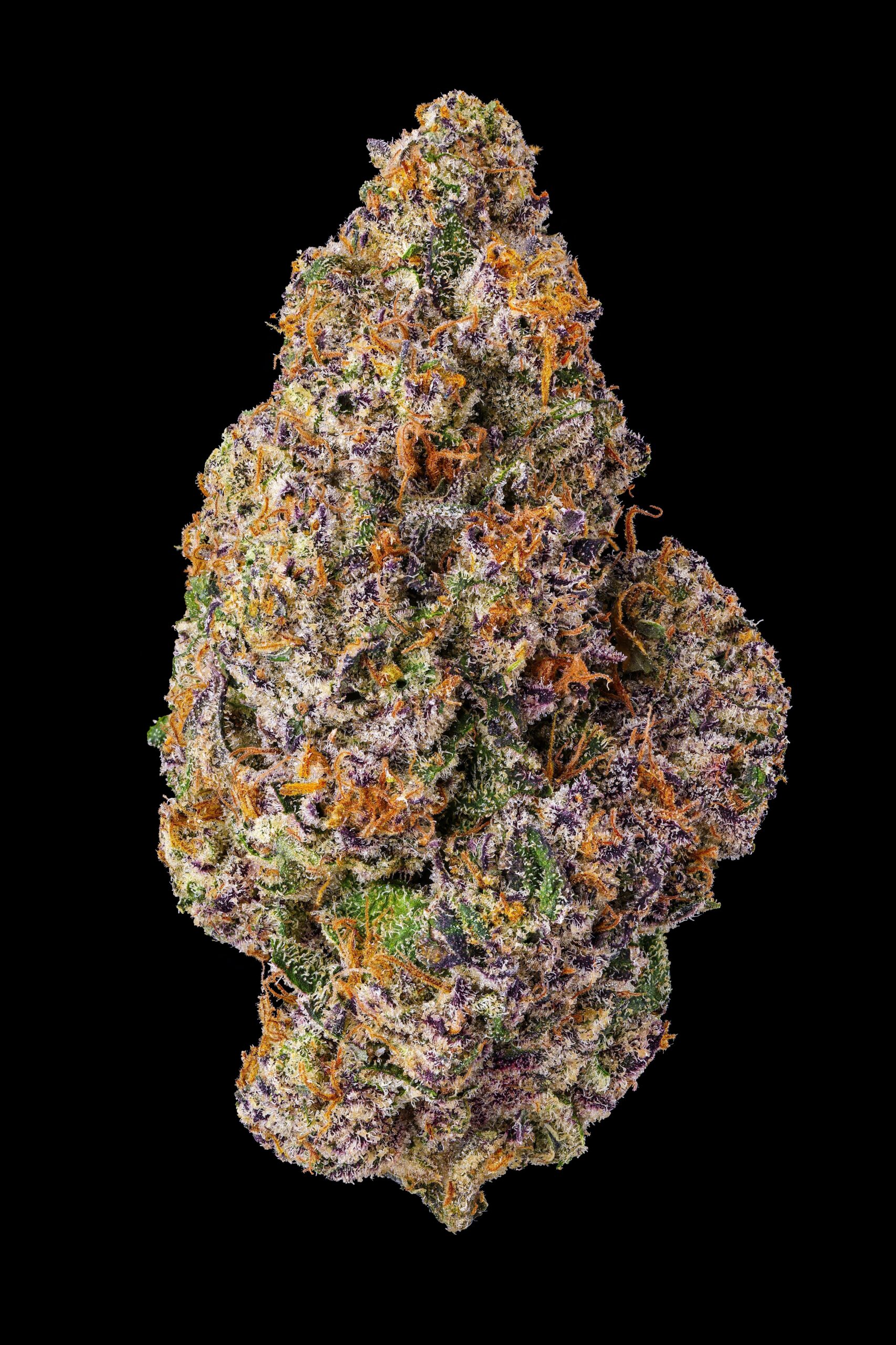 MVN - Prizm x RSX #5 - Flower - Eighth - PP, Maven Genetics