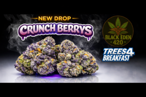 Crunch Berrys | Premium Flower| TREES FOR BREAKFAST