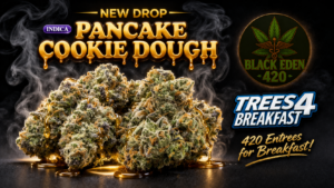 Pancake Cookie Dough | INDICA| TREES 4 BREAKFAST