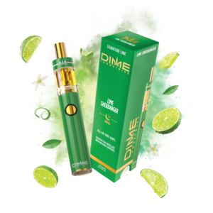 Dime Industries Lime Sherbanger 1000mg AIO