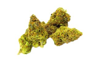 Gushers - 14G