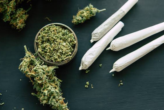 Premium Cannabis Products Delivered to Your Door