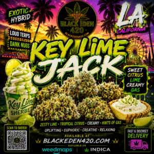 KEY LIME JACK 14G