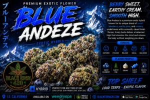 BLUE ANDEZE (exotic-hybrid)