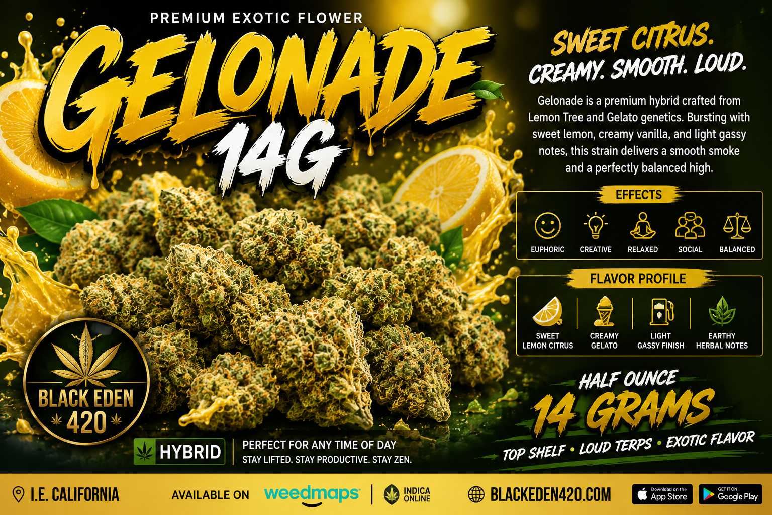 Blue Zushi – Premium Exotic Hybrid - Image 4