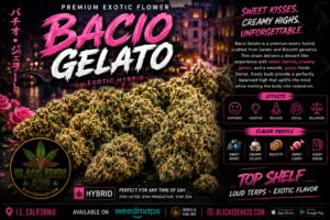 BACIO GELATO (EXOTIC-HYBRID)